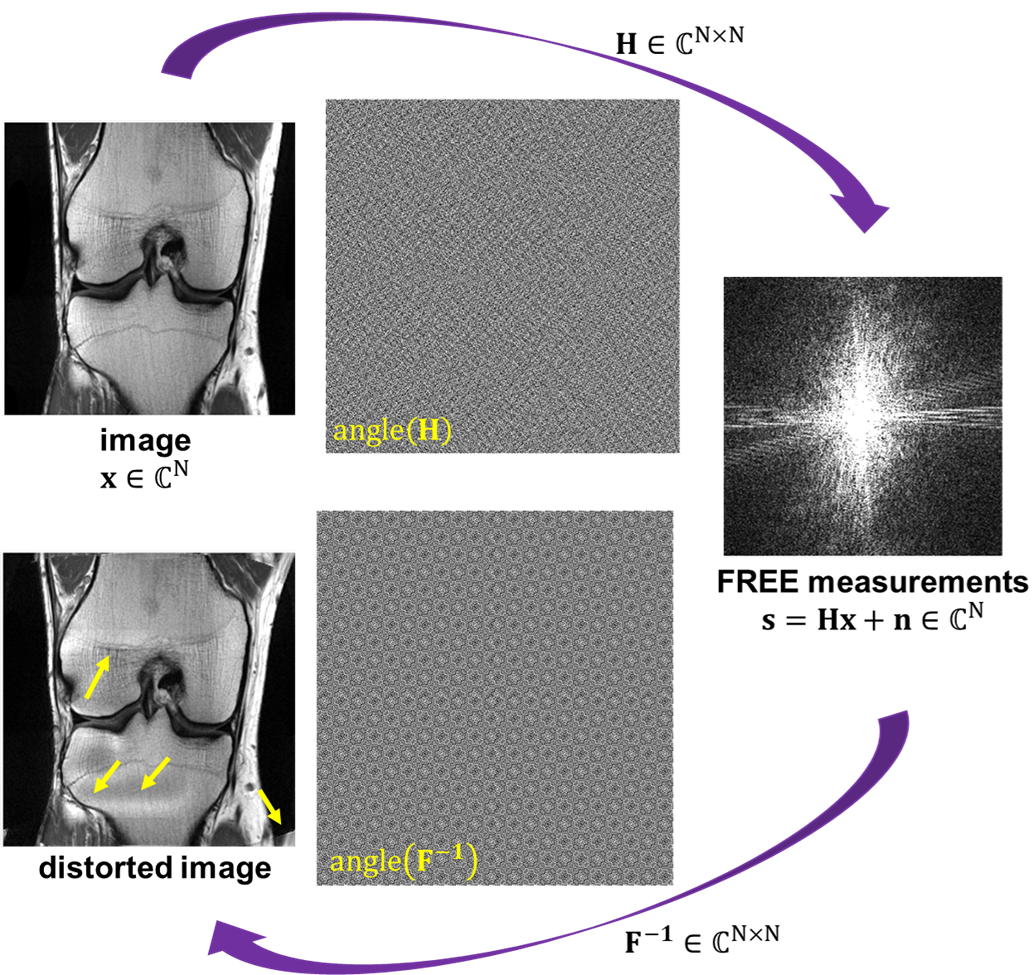 Physics-Driven Deep Learning Reconstruction of Frequency-Modulated Rabi-Encoded Echoes for Faster Accessible MRI
